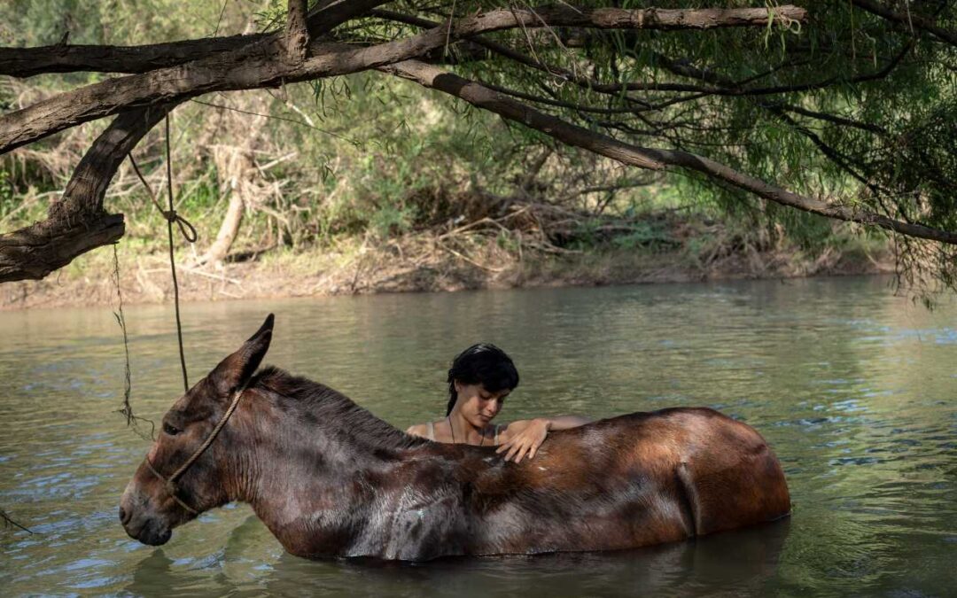 Movie Review: GLAFF offered Award Winning film La Arriera by Director Isabel Cristina Fregoso