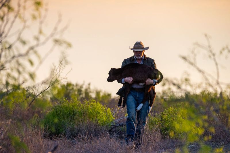 Movie Review: Broken Land – Timely Themes and Excellent Performances